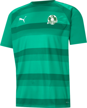 T-shirt Team Vision vert