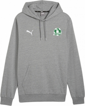 Sweat teamGOAL Casuals Hoody gris