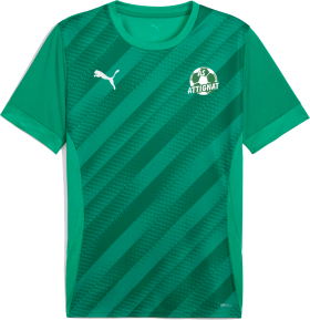 T-shirt TeamGoal Graphic Jersey vert